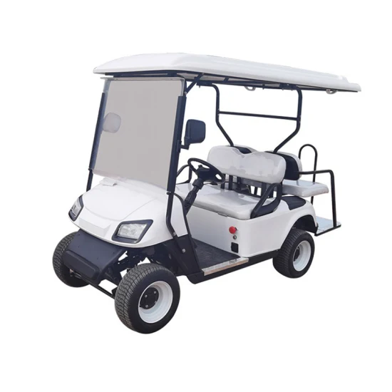 Carrello da golf intelligente per trasporto familiare Carrello da golf a 2 posti/4 posti Veicoli elettrici da strada