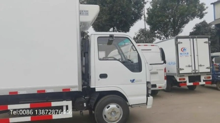 Giappone Isuzu 600p 4X2 tipo 5 tonnellate camion dei gelati refrigerato da 6 tonnellate